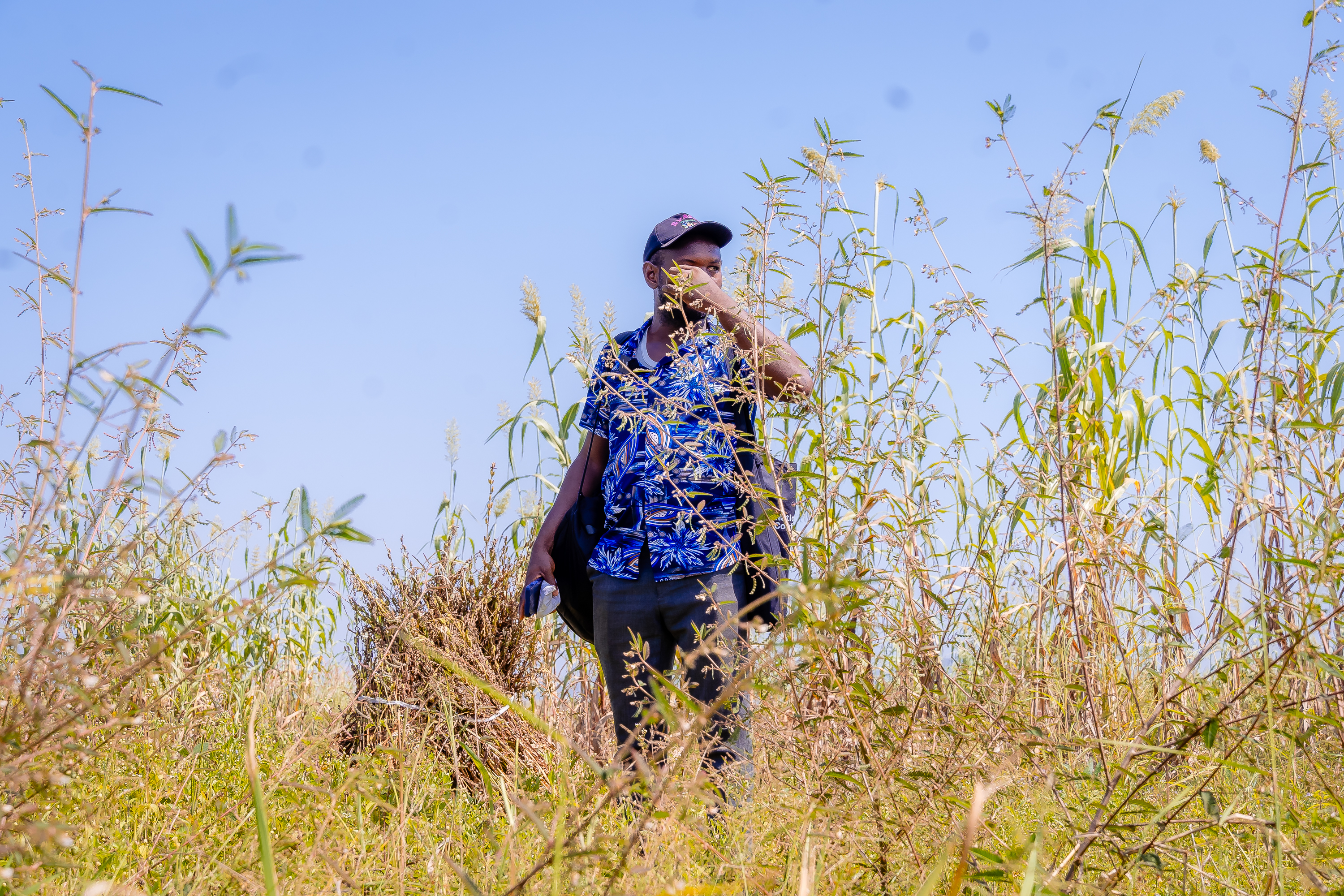 From Zero Profit to Climate-Smart Growth: How BRACE Transformed Idakwo’s Agribusiness